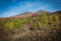 040 Tenerife, NP el Teide